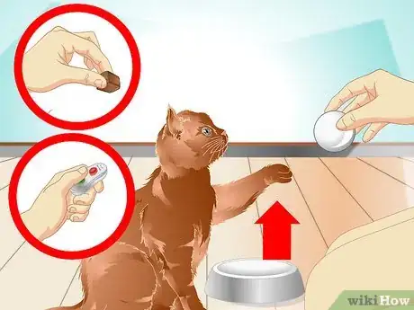 Image intitulée Teach a Cat to "High Five" Step 16